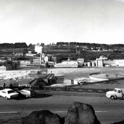 1964 Flood - Willamette Falls, West Linn Mills from Oregon City View Point
