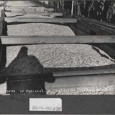 Lumber Industry
