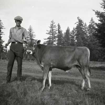 Man with Calf in Field, #2.