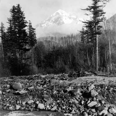 Still Creek Canyon and burned area, Mt. Hood.