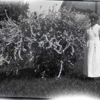 Woman Beside Flowering Bush.