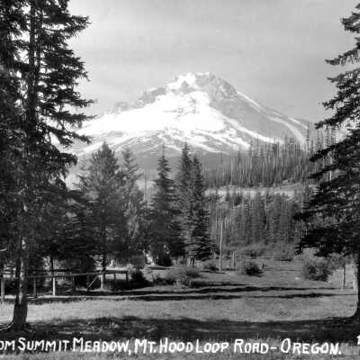 Mt. Hood from Summit Meadow.