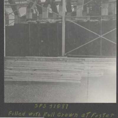 Lumber Industry