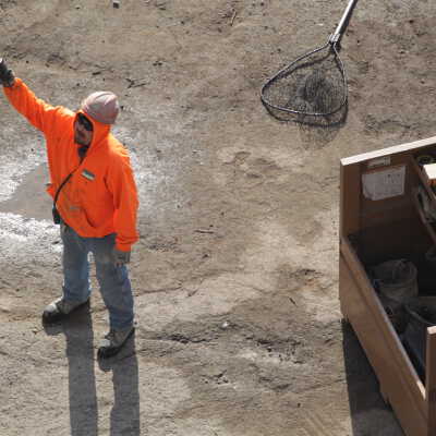Oregon City Arch Bridge Restoration 2011
