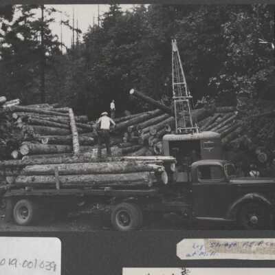 Lumber Industry