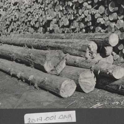 Lumber Industry