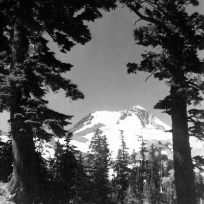 Mt. Hood.