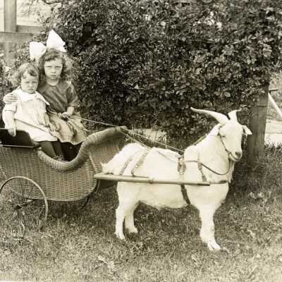 Marian Barry and Betty Milles in Goat Cart.: Copyright: None; Origsize: 4" x 6"; Origformat: Print-Photographic