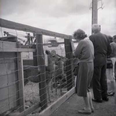 Clackamas County Historical Society Trip to Harney County, #6.