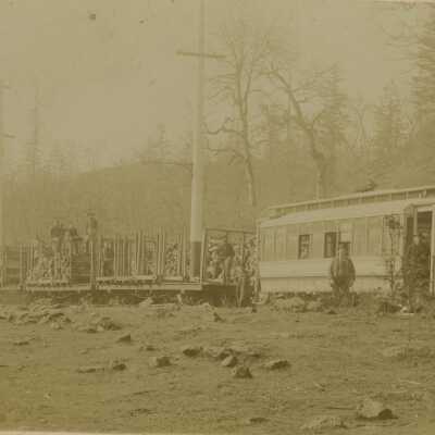 Train hauling wood near West Linn - 1890