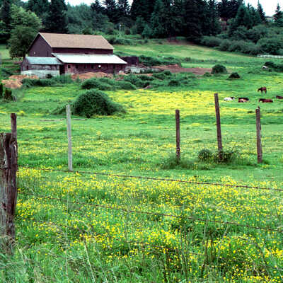 Happy Valley - Deardorff Barn 1989