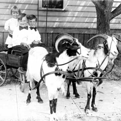 Fosberg Children with Goat Cart.