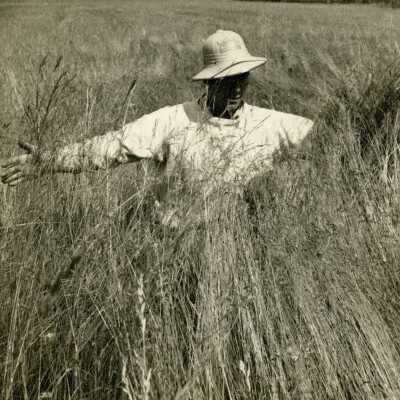 W.H. Tucker, Grass Seed Pioneer.