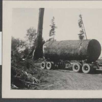 Lumber Industry