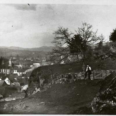 Oregon City from the Bluff at 6th with the Chase House. 1888.: Copyright: none; Origsize: 4 x 4.75; Origformat: Negative; Resolution: 800 DPI; Negno: 1