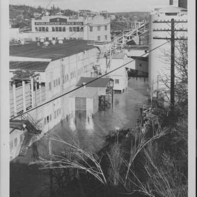 1964 Flood - Publishers Mill - Flood Aftermath - Oregon City