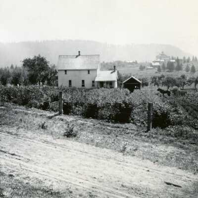 De Bok Farm in Willamette, 1900.: Origformat: Print-Photographic