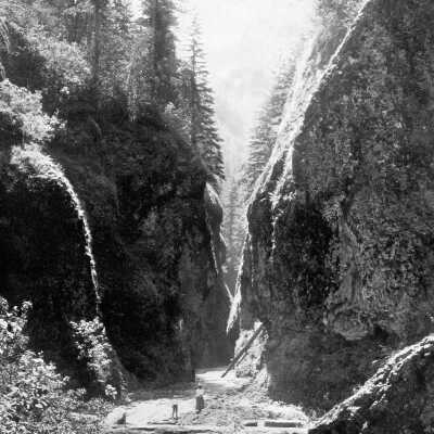 Oneonta Gorge, Columbia River Gorge, Oregon.