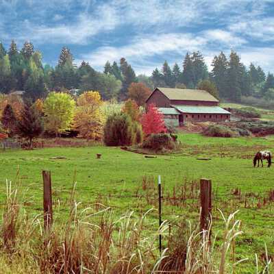 Looking SE at Deardorff Barn.: Origformat: Other