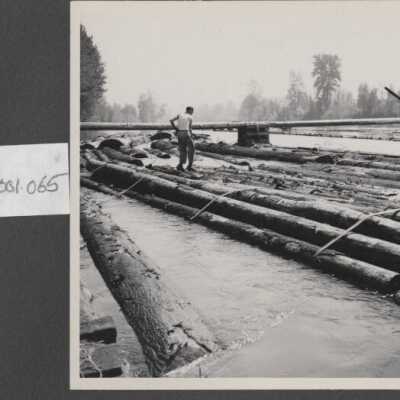 Lumber Industry