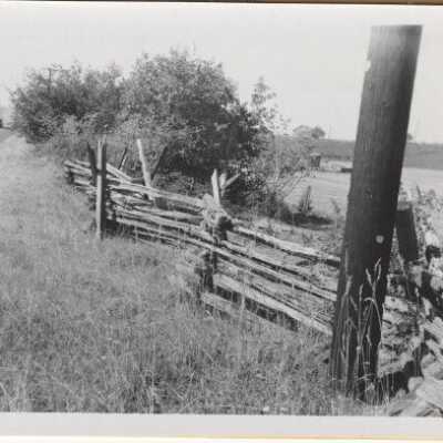 Old Cedar Fence along River 1947