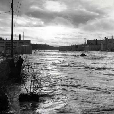 1964 Flood - View of Oregon City Mill and West Linn Mill.