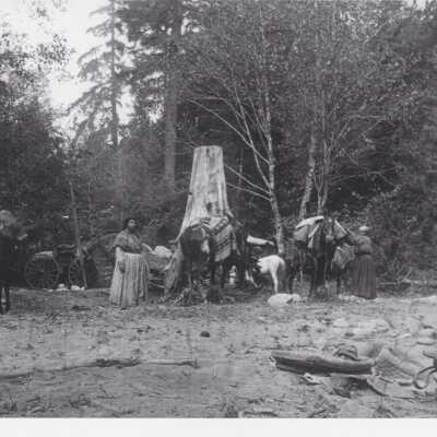 Warm Springs Native American Camp