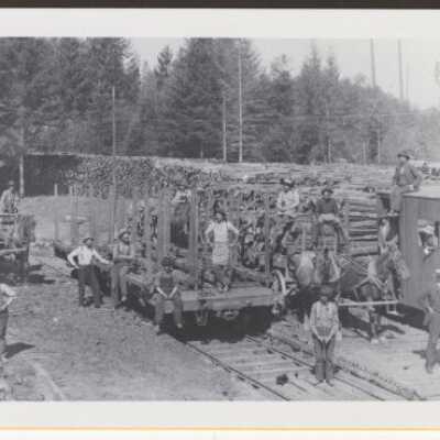 Willamette Falls Railroad Wood Yard 1900
