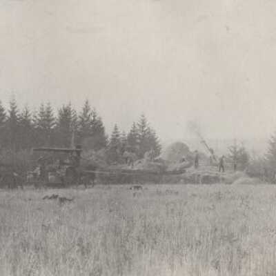 Photograph of men harvesting grain out in a field using horse drawn farming equipment - Print, photographic - 1913-1915