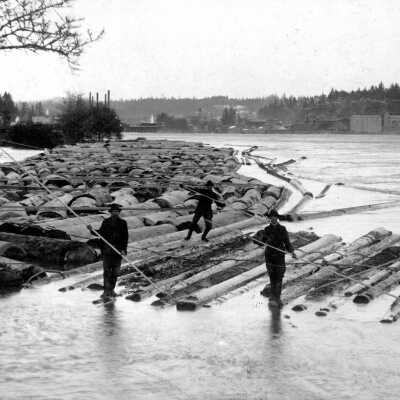 Rafting Logs Above the Falls for Moehnke's Saw Mill, 1898.