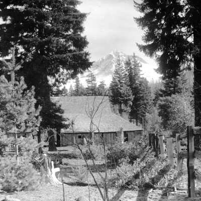 Mt. Hood and farm building in forest.