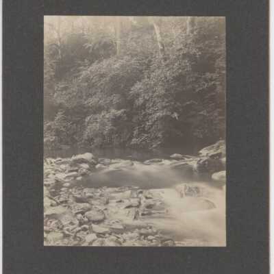 Water Falls in the Woods, unknown River