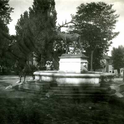 Thompson Elk Fountain