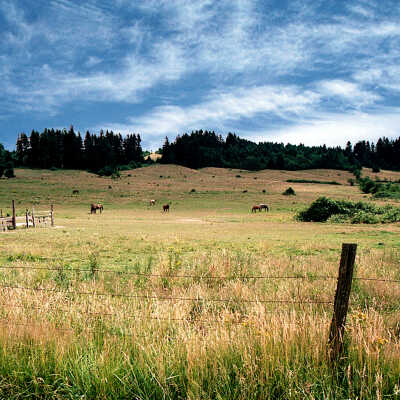 Horse Pasture View looking SE.