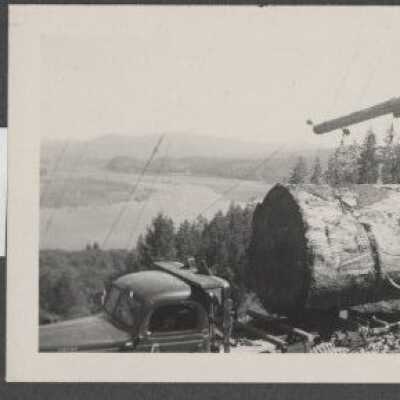 Lumber Industry