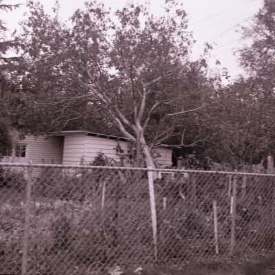 Columbus Day Wind Storm Aftermath: Fallen Tree on House, #2.