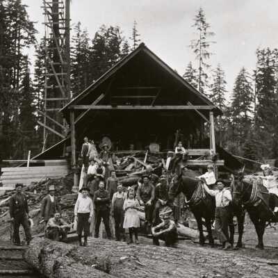 Nelson & Jarl Sawmill