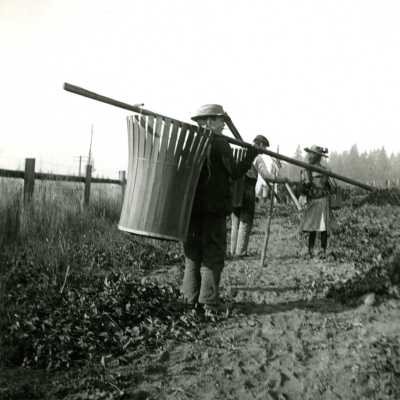 Hops Pickers at Park Place