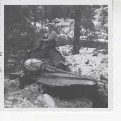 Logging