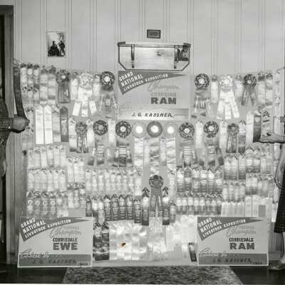 Grand National Livestock Exposition, Ram and Ewe Champions by J. G. Kassner.