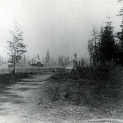 Oak Grove at Oatfield Road and Courtney Ave. 1890: Copyright: None; Origsize: 8" x 10"; Origformat: Print-Photographic