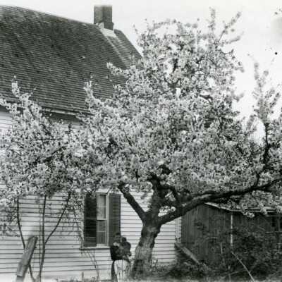 Residential Back Yard - Oregon City, Oregon, 1890: Origformat: Print-Photographic