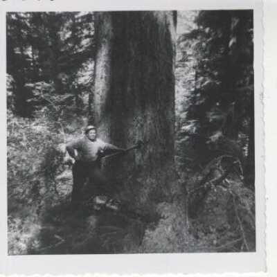Logging