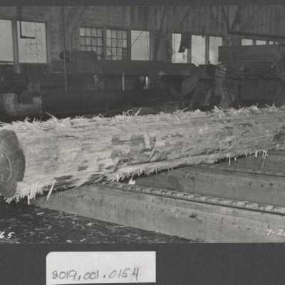 Lumber Industry