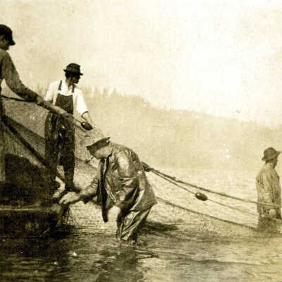 Fishermen Netting Fish