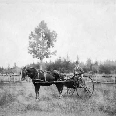 Billy Parlow with Horse and Cart.