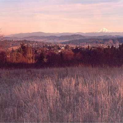 View from Happy Valley toward Mt. Hood.: Copyright: Clackamas County Historical Society; Origformat: Other