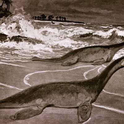 Copy of photo of dinasaurs: Copyright: None; Origsize: 9.75X5.5; Origformat: Negative