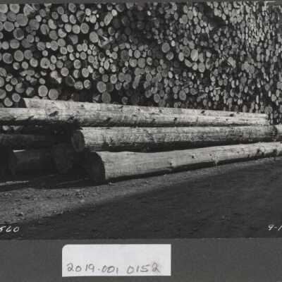 Lumber Industry