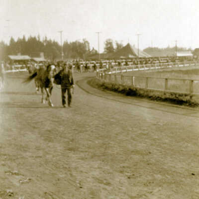 Man Exercising Horse at Racetrack.
